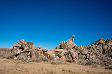 Discover the Beauty of Joshua Tree National Park Today
