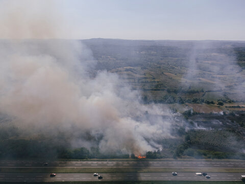 Forest fire