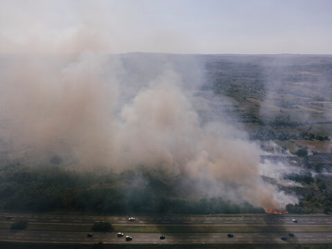 Forest fire