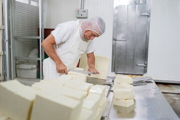 Cheesemaker cutting blocks of cheese in a food processing facility