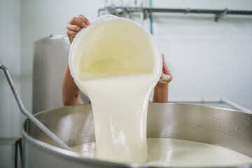Operator pouring fresh milk into a large vat in a dairy factory