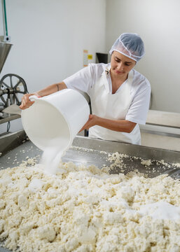Cheesemaker adding salt to fresh curd in factory