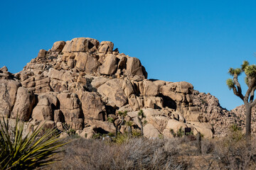Discover the Beauty of Joshua Tree National Park Today
