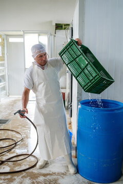 Cheese factory worker washing green basket in blue barrel