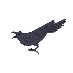 Hand drawn inky sketch style raven or crow isolated on white background. Mystic black bird