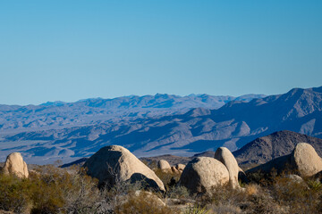 Discover the Beauty of Joshua Tree National Park Today