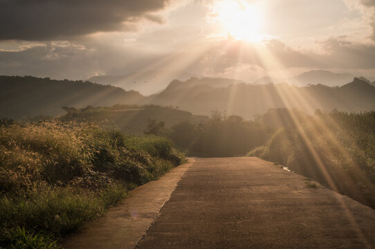 Sundrenched Country Mountain Road