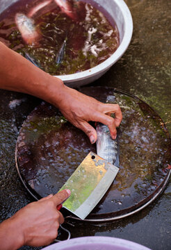 Fresh fish being processed for cooking