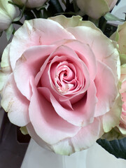 pink roses bouquet