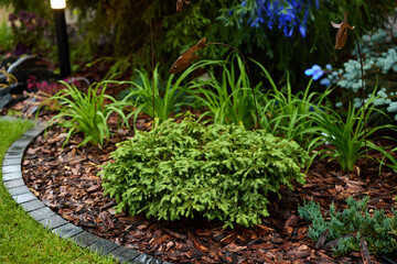 A Lush and Beautiful Garden Landscape Featuring Decorative Plants and Fresh Mulch All Around