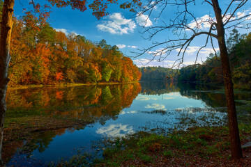 Scenic view of autumn forest and lake at sunset