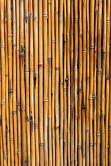 Beautiful view of the bright colorful colorful dry bamboo background .