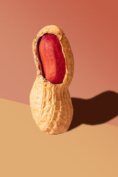 Close-up view of a raw peanut with texture and shadow