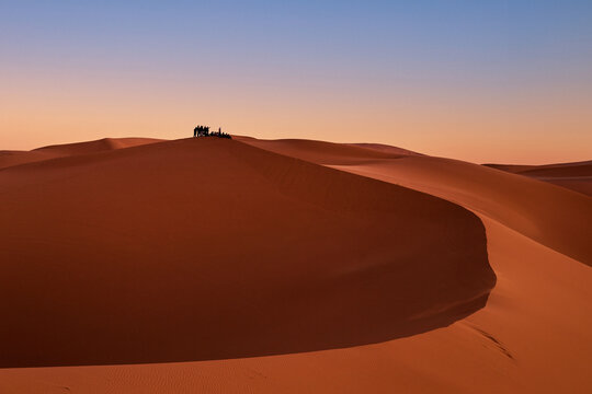 Tourist Caravan on Desert Dune at Sunset