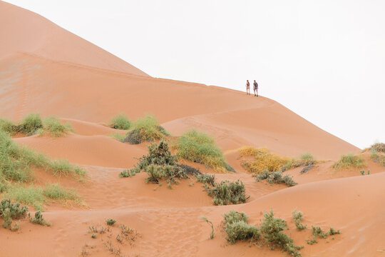 Exploring Vast Desert Landscape with Rolling Sand Dunes