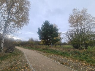 Naturpfad in einem Park in Berlin Hellersdorf, mit atmosphärischem Himmel