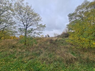 Sicht auf ein grünes Areal, mit atmosphärischem Himmel, in Berlin Hellersdorf - Marzahn