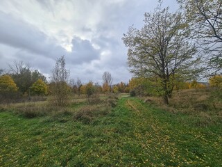 Sicht auf ein grünes Areal, mit atmosphärischem Himmel, in Berlin Hellersdorf - Marzahn