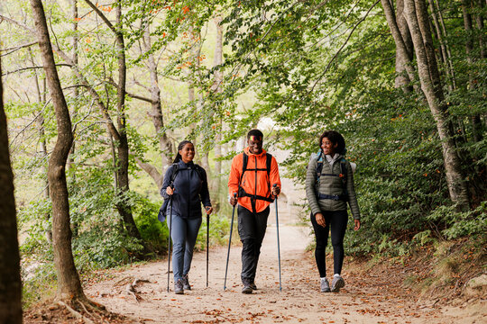 Three hikers walking on path in forest at autumn