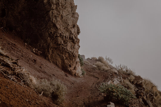 The path