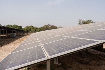 Large solar panel farm generating green energy in senegal