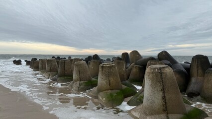 the beach of the sea