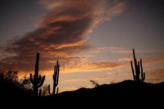 Horizontal desert nights
