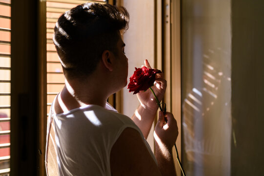 Non binary person in backlight and rose, portrait in a shadows
