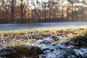 First snow on green grass. Beginning of winter. Beautiful winter. Life in the village