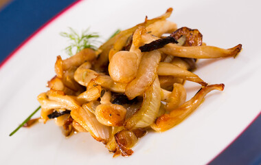 Homemade roasted agaric honey mushrooms with onions on white plate