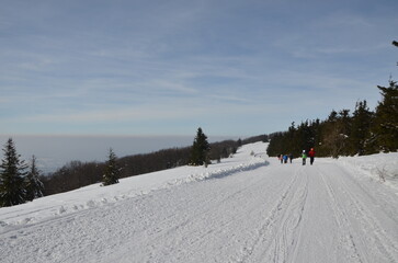 skiing in the mountains