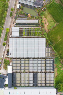 Aerial View Modern Floral Greenhouse Complex Large Scale Flower 