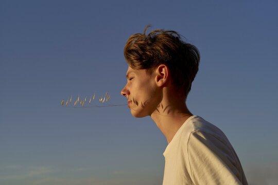 Young person chewing grass at sunset