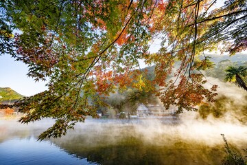 金鱗湖の紅葉