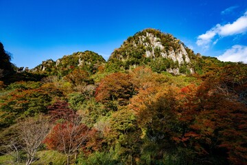 一目八景の紅葉