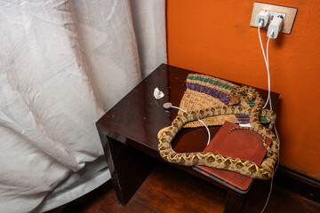 Snake in a room encounter