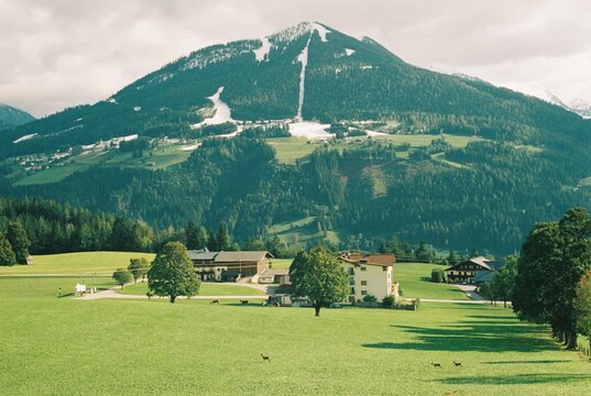 Landscape of the green meadow and the mountain