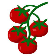 cherry tomatoes illustration