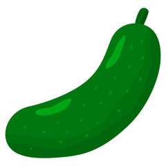 illustration of cucumber