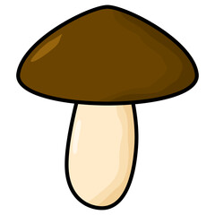 mushroom illustration