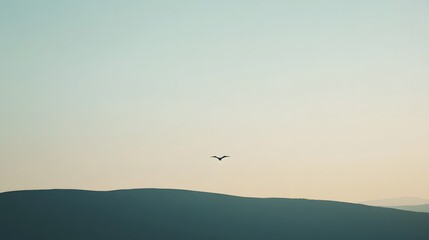 A solitary dragon circling a smooth hilltop, its shadow casting a subtle outline against the muted terrain.