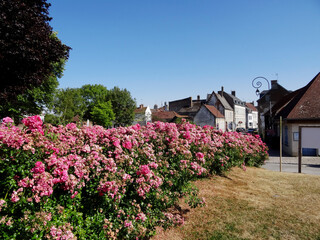 Pas de Calais, ville de Montreuil sur Mer 