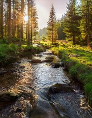Obraz premium Idyllic forest river at sunset: babbling brook in the middle of a dense coniferous forest, illuminated by warm rays of sunlight breaking through the canopy of leaves