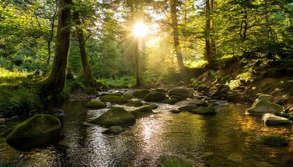 Fototapeta premium Idyllic forest river at sunset: babbling brook in the middle of a dense coniferous forest, illuminated by warm rays of sunlight breaking through the canopy of leaves