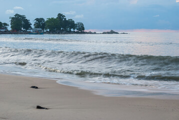 A serene coastal landscape featuring gentle waves lapping against a sandy beach, with distant trees under a dusky sky.