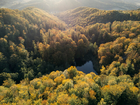 Autumn landscape with lake and forest at sunset