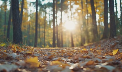 Serene forest path with autumn leaves and sunlight filtering through.