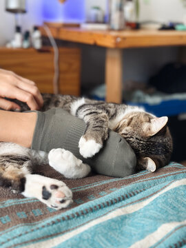 Unconditional love
