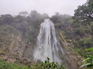 Obraz premium Waterfall in the tropical cloud forest in Costa Rica