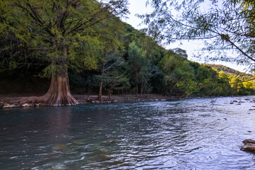 hermoso árbol en rio, arroyo seco jalapa de serra en Queretaro. Puente que te lleva al rio, arquitectura y construcción.